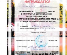IX Открытые соревнования среди обучающихся Гатчинского муниципального района по радиоуправляемым моделям аэроботов.